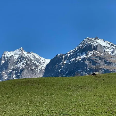 Fluehblueemli Apartment Grindelwald