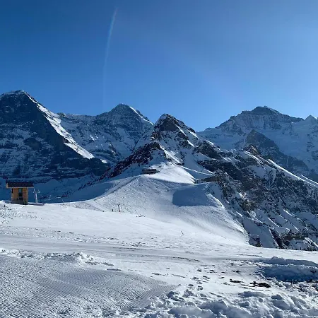 Fluehblueemli 아파트 *