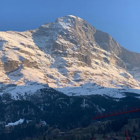 Fluehblüemli Grindelwald