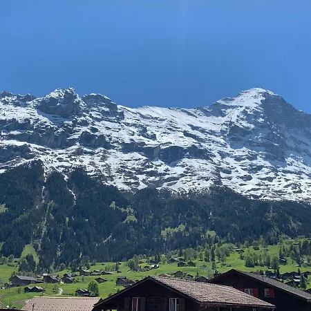 Fluehblüemli Grindelwald