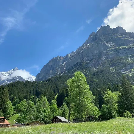 Apartment Fluehblüemli Grindelwald
