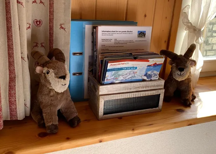 Apartment Fluehblüemli *