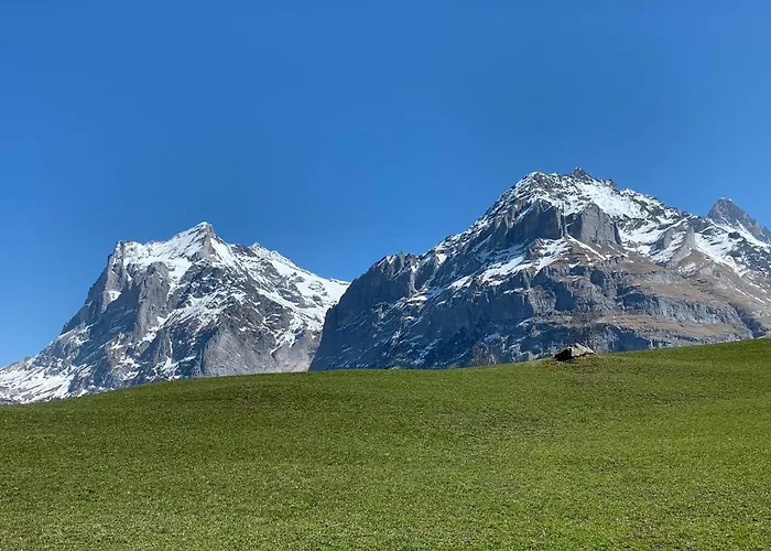 Fluehblüemli Apartment Grindelwald