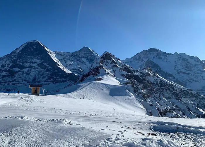 Fluehblüemli Apartment *