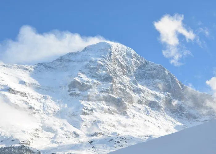 Fluehblüemli Apartment