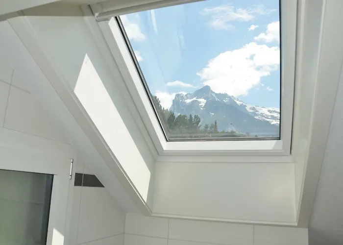 Fluehblueemli * 그린델발트