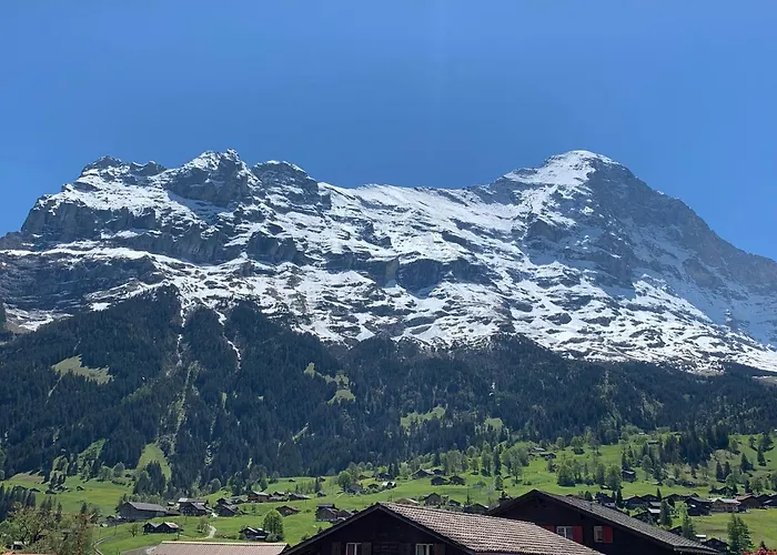 Fluehblüemli Grindelwald