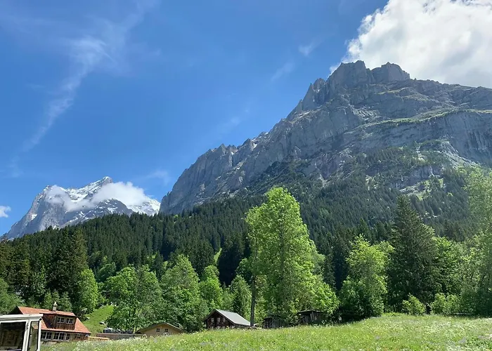 Apartment Fluehblüemli Grindelwald