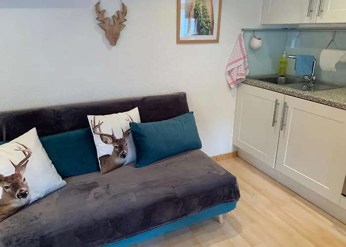 Fluehblueemli Apartman