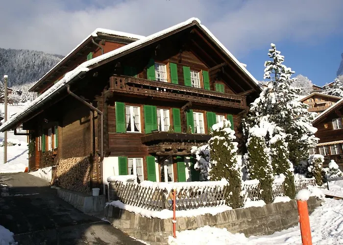 Fluehblueemli Apartman Grindelwald